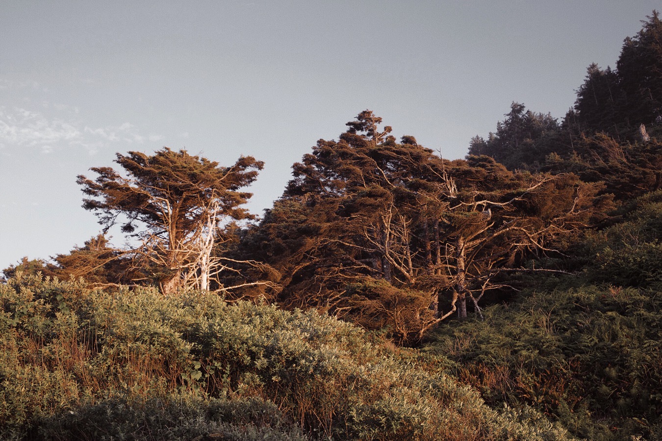 stats-img processed with vsco with dog1 preset