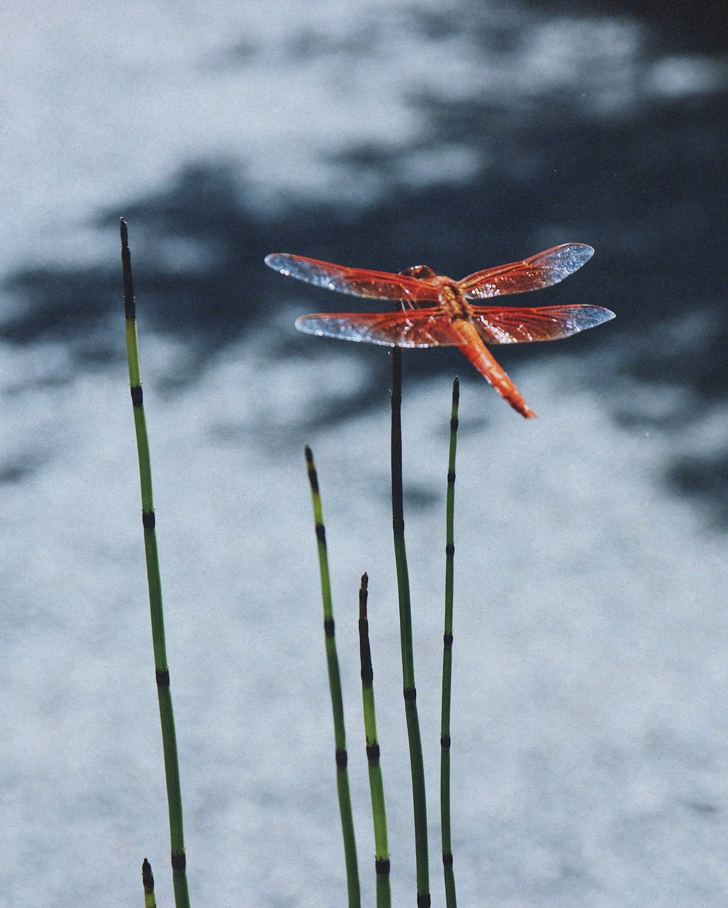 portfolio-02 image15