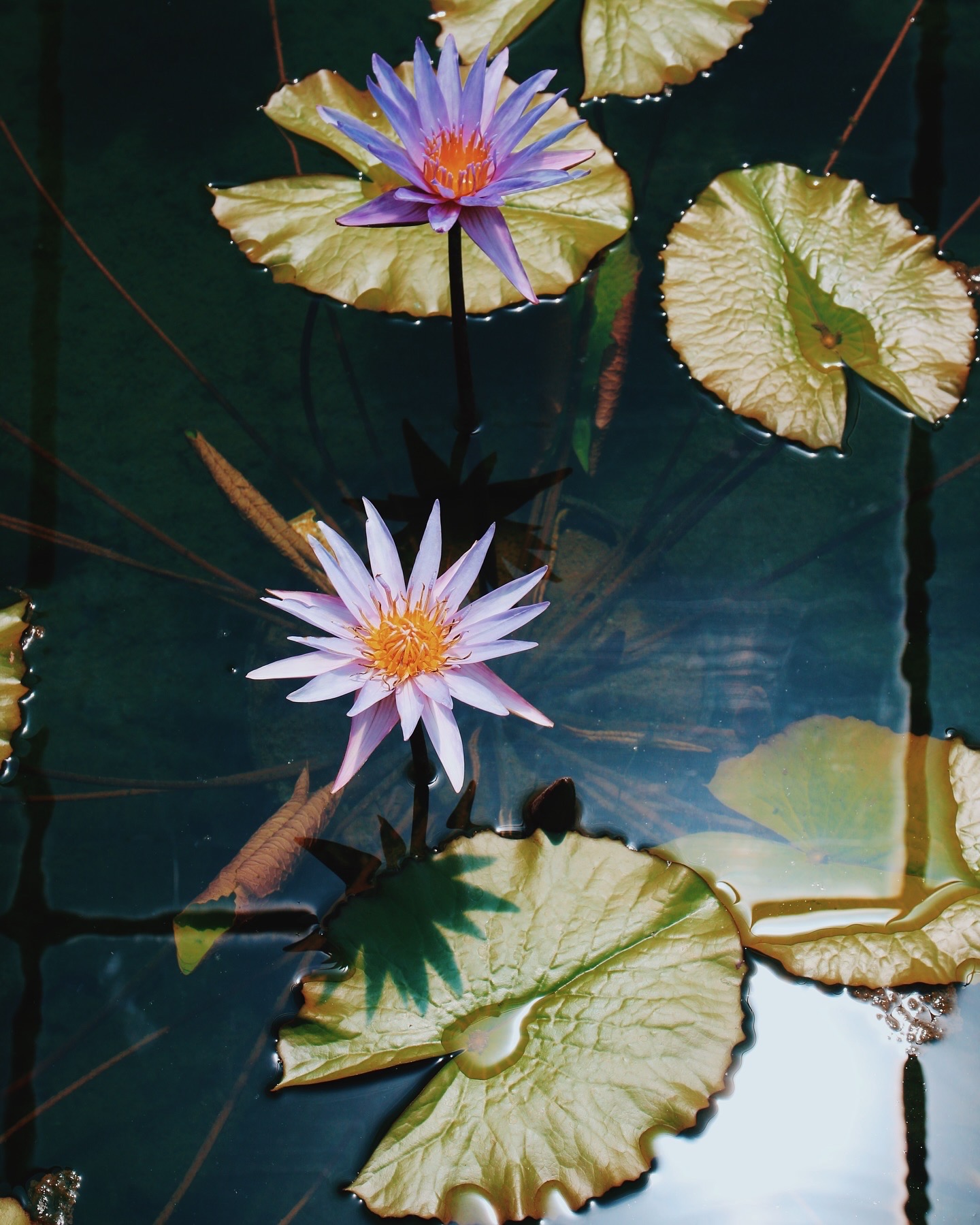 portfolio-03 image18