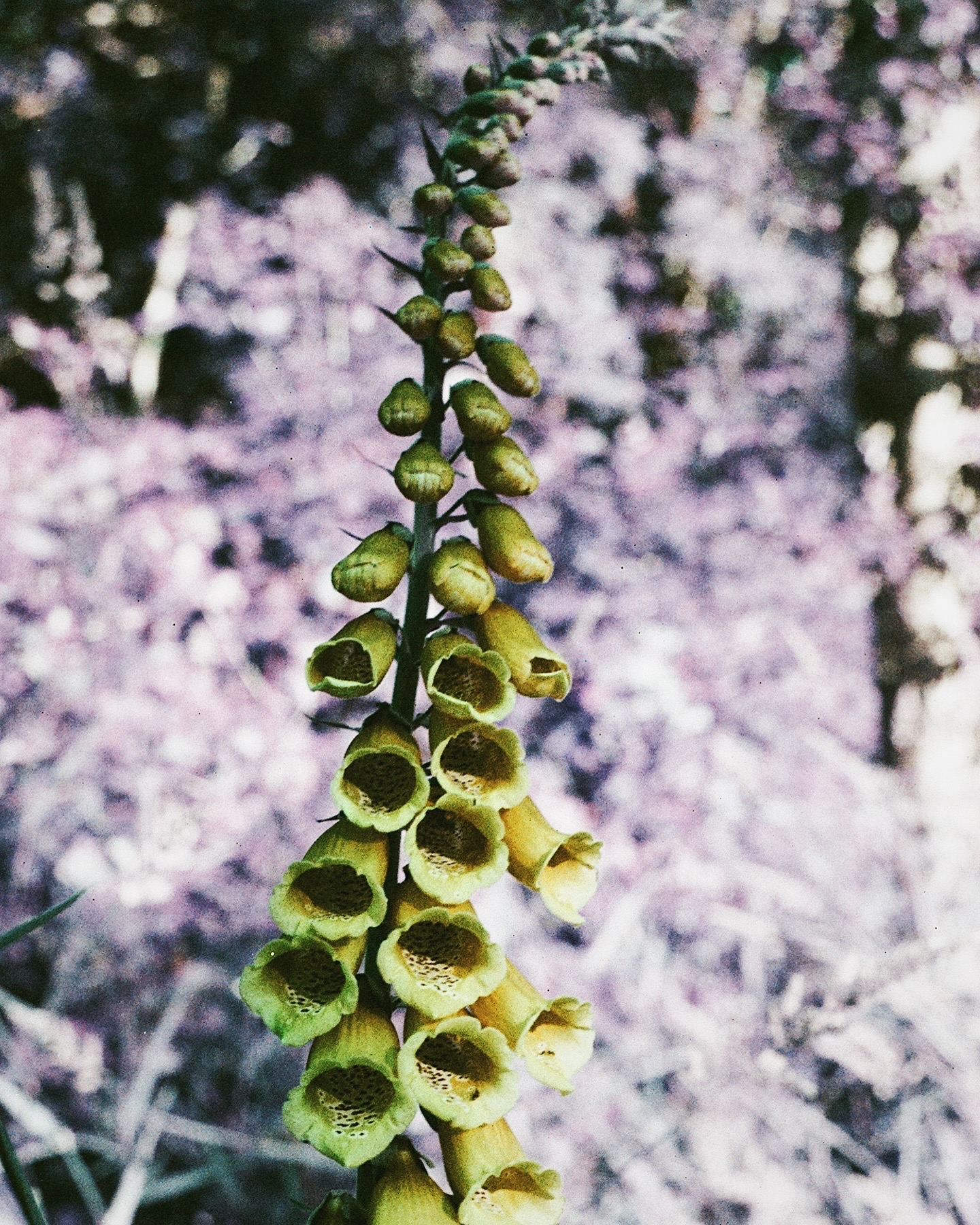 portfolio-05 image20