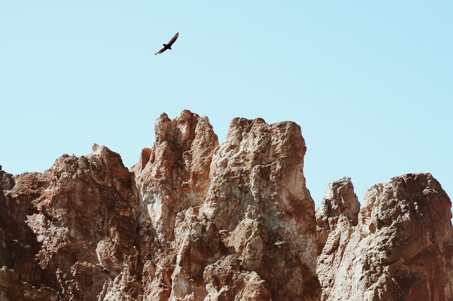 portfolio-06 image21