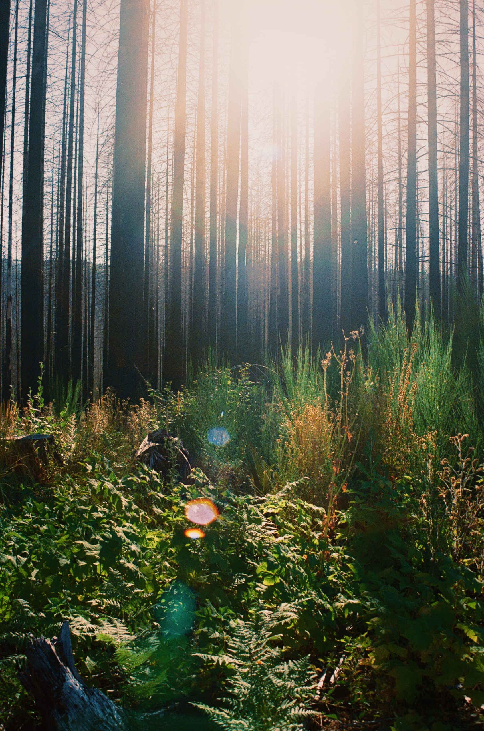 why-choose-us processed with vsco with al2 preset